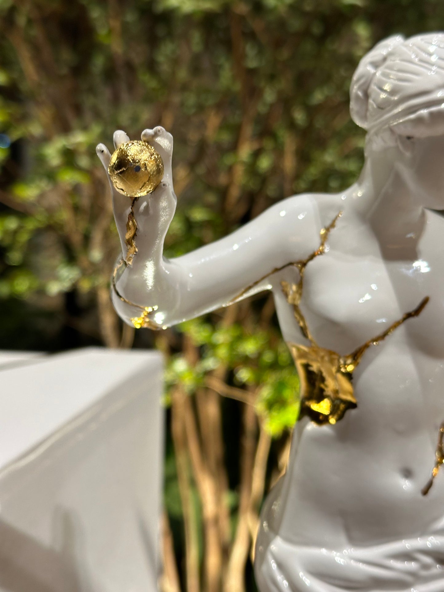 VENUS DE ARLES (Edición Robert Farah)